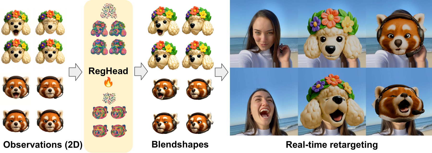 RegHead overview: from 2D observations to blendshapes to real-time retargeting