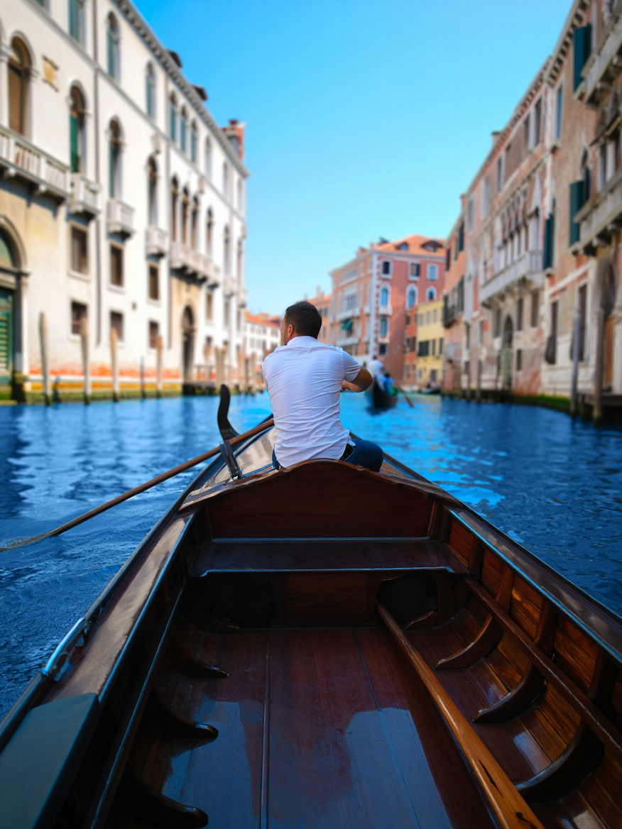 Venice Vegetation Result