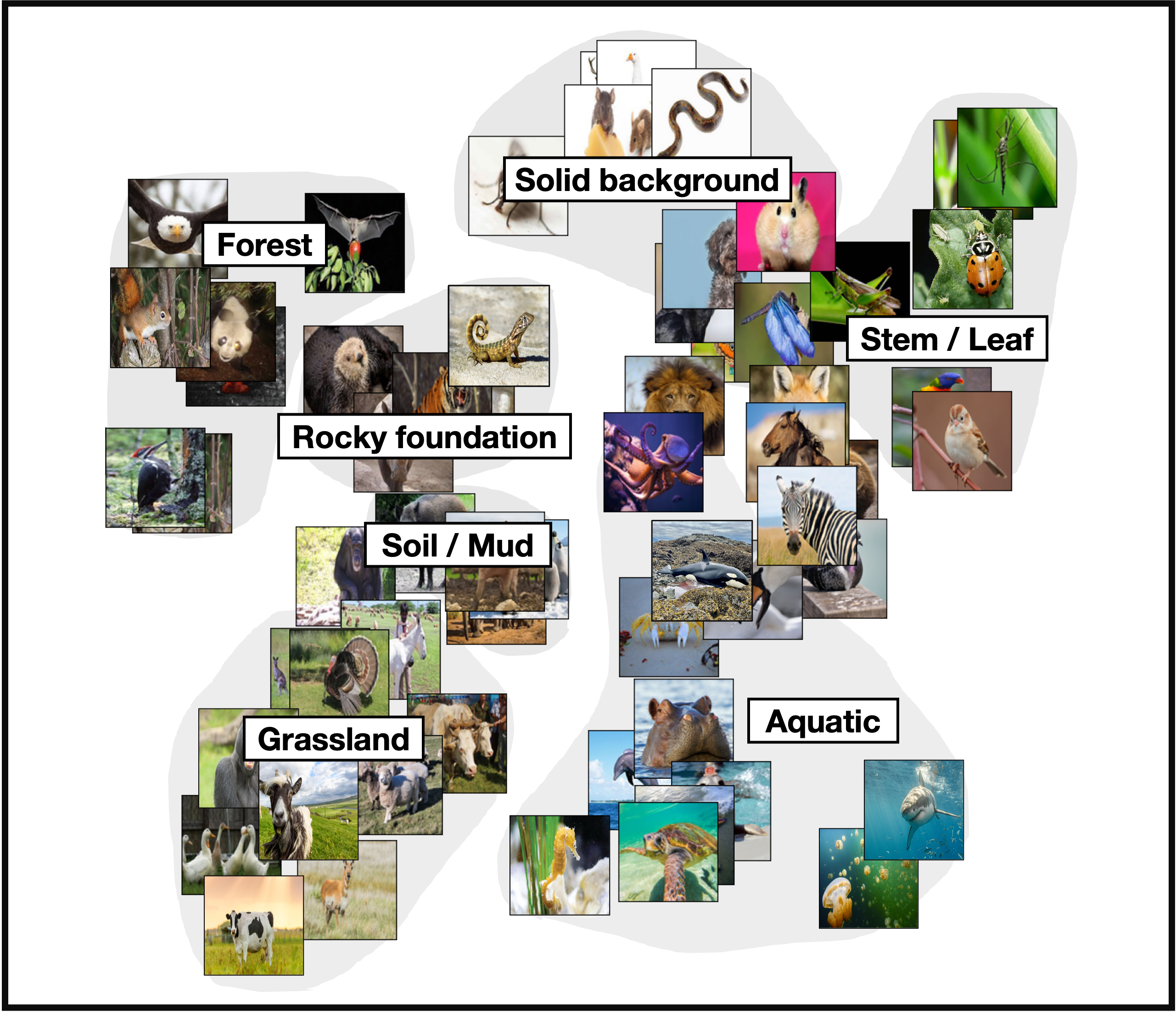 Background Environment Embedding